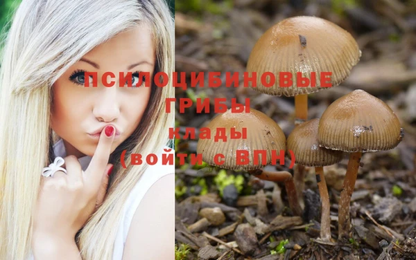 jwh Белоозёрский