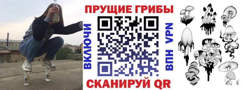 Галлюциногенные грибы Psilocybine cubensis  KRAKEN как войти  Мглин 